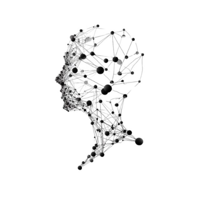 Humanoid Network Logo